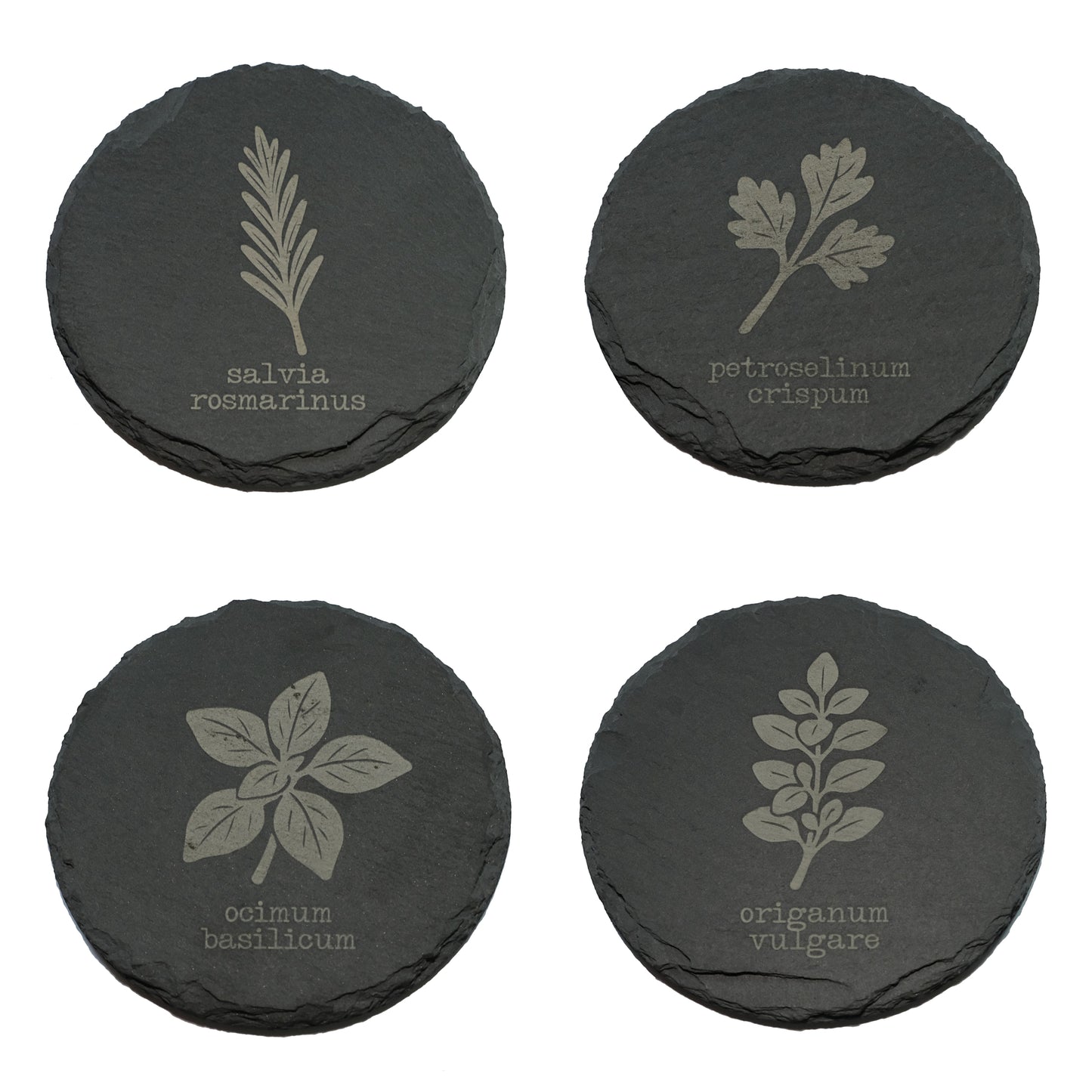 Untersetzer "Küchenkräuter Serie 1" im 4-er Päckli